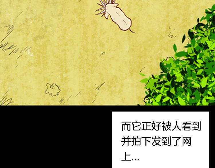 《山林怪谈》第93话 象牙 第50页