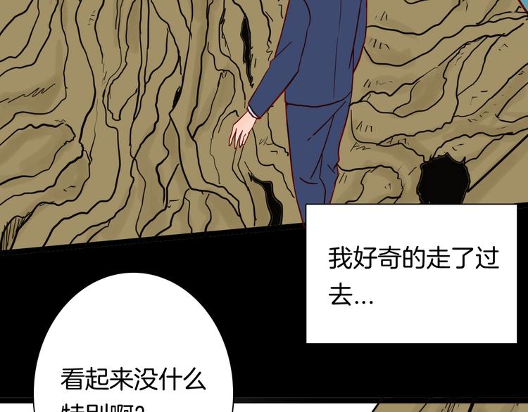 《山林怪谈》第121话 盆景艺术家（中） 第49页