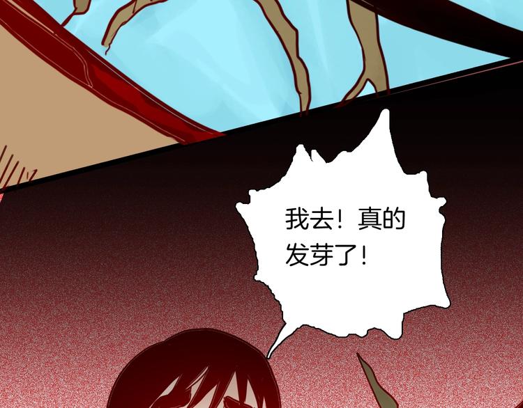 《山林怪谈》第122话 盆景艺术家（下） 第36页