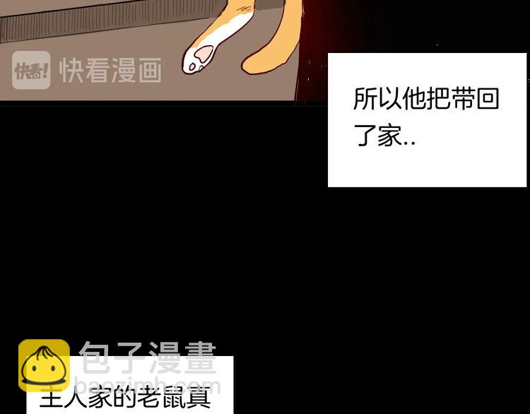 《山林怪谈》第119话 鼠疫 第5页