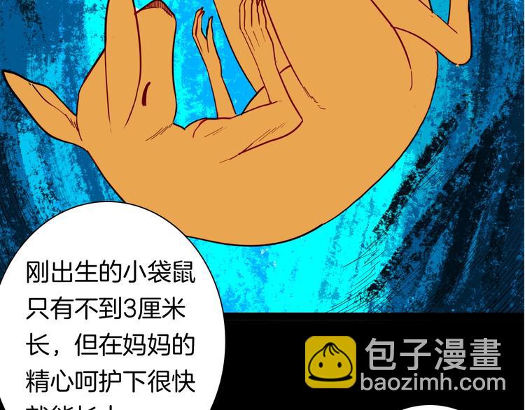 《山林怪谈》第139话 袋鼠（下） 第2页
