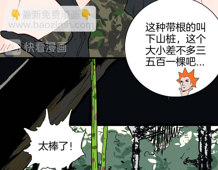 《山林怪谈》第146话 崖柏（上） 第37页