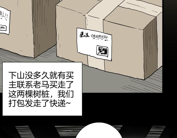 《山林怪谈》第146话 崖柏（上） 第50页