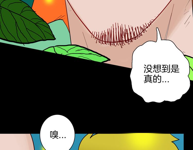 《山林怪谈》第147话 崖柏（下） 第14页