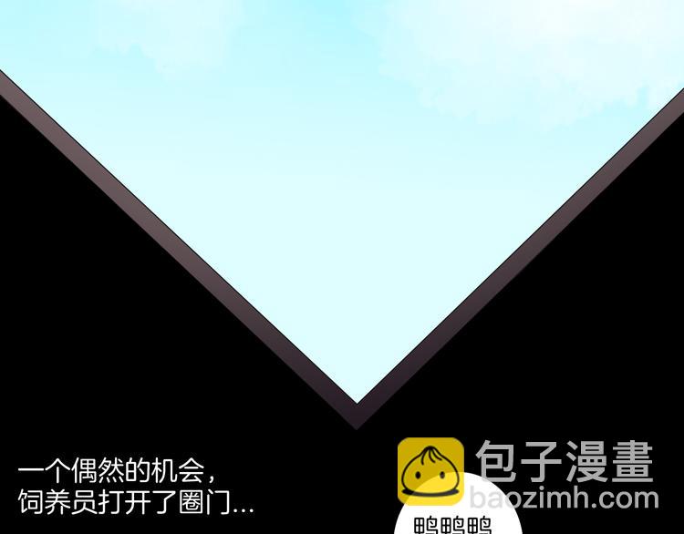 《山林怪谈》第170话 平凡鸭 第45页