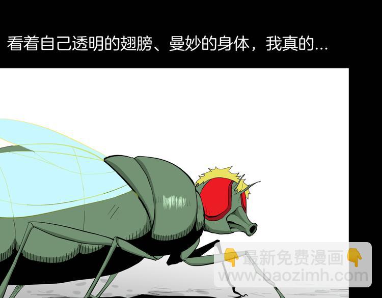 《山林怪谈》第182话 苍蝇人生 第17页