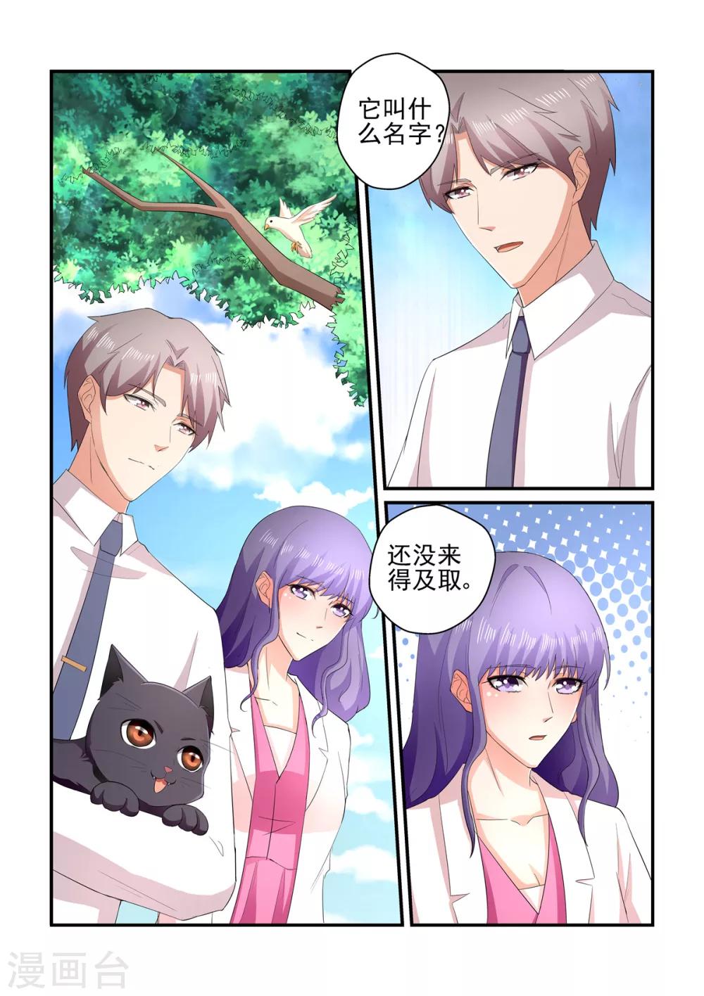 《无效婚约前妻要改嫁》第137话 小白 第9页