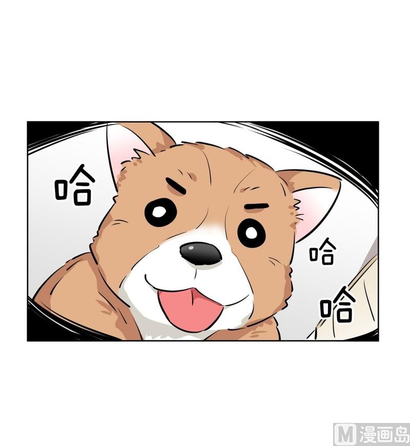 《隔壁住着吸血鬼》118(第118回 一杯红酒就醉了02) 第4页