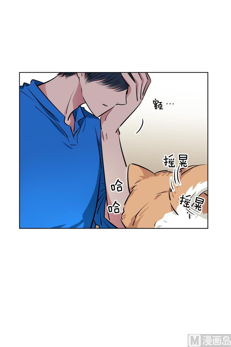 《隔壁住着吸血鬼》118(第118回 一杯红酒就醉了02) 第5页
