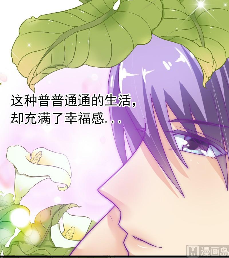 《冰山男神狂追妻》第43话 做饭的她很漂亮 第33页