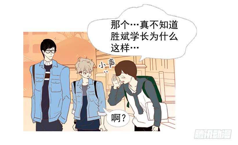 《远看春意盎然》这怎么可能是爱情 第42页