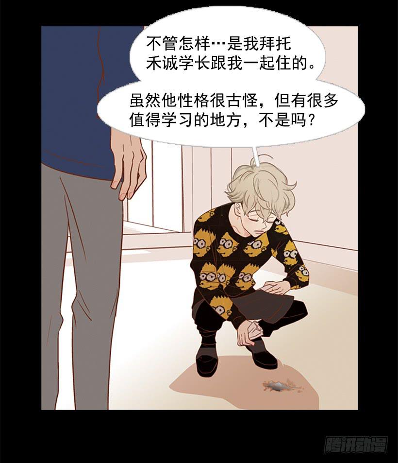 《远看春意盎然》他是清除垃圾的人 第20页