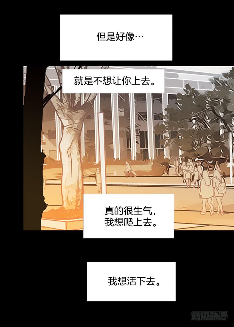 《远看春意盎然》玻璃天花板 第13页