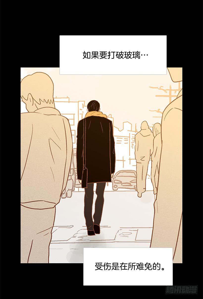 《远看春意盎然》玻璃天花板 第14页