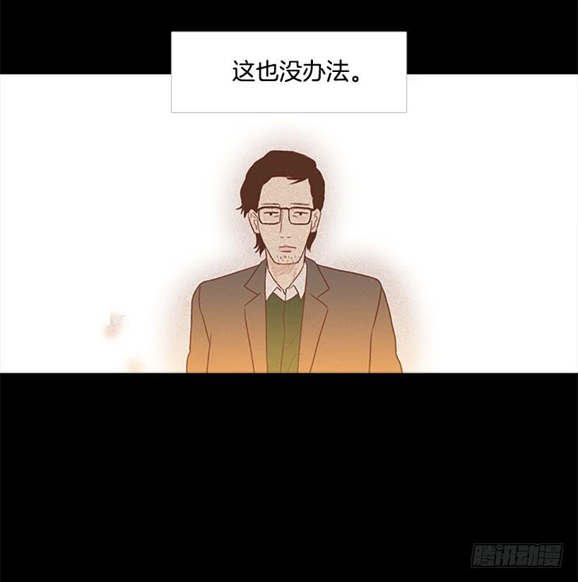 《远看春意盎然》玻璃天花板 第15页