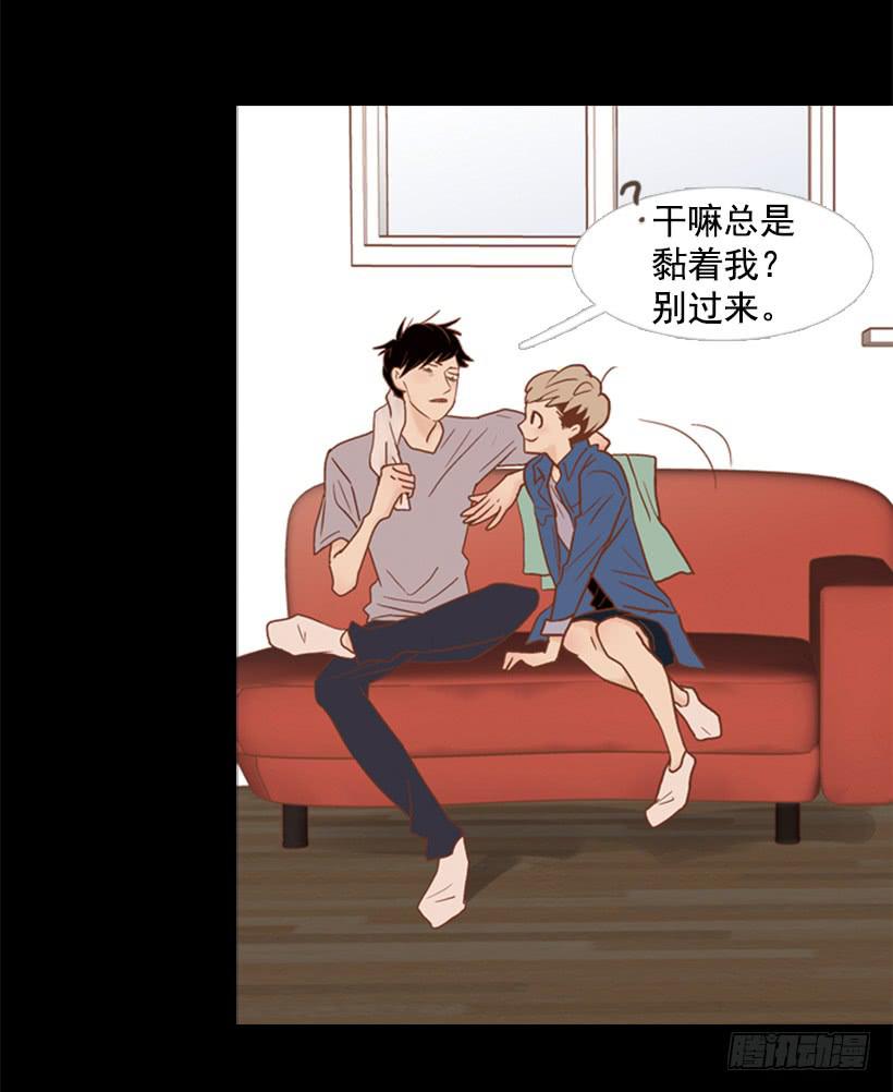 《远看春意盎然》没时间绝望 第17页