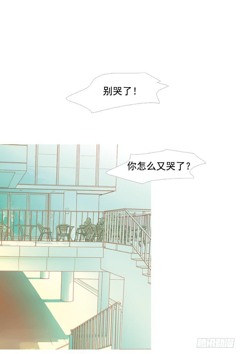 《远看春意盎然》伤害 第38页