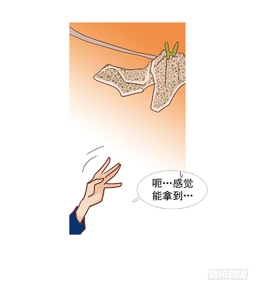 《远看春意盎然》天台温暖 第17页