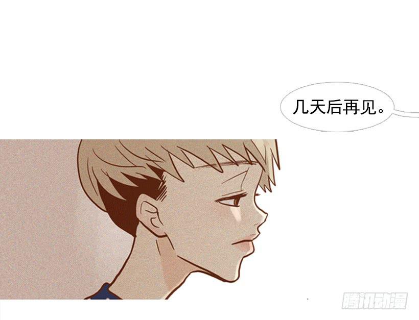 《远看春意盎然》失衡 第13页