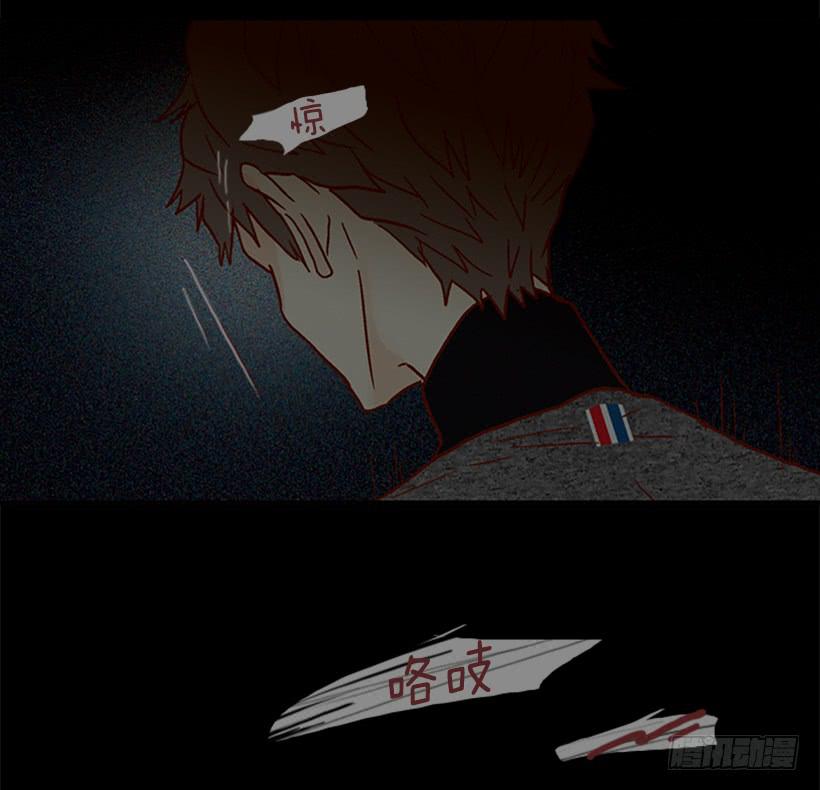 《远看春意盎然》选择权在你手里 第20页