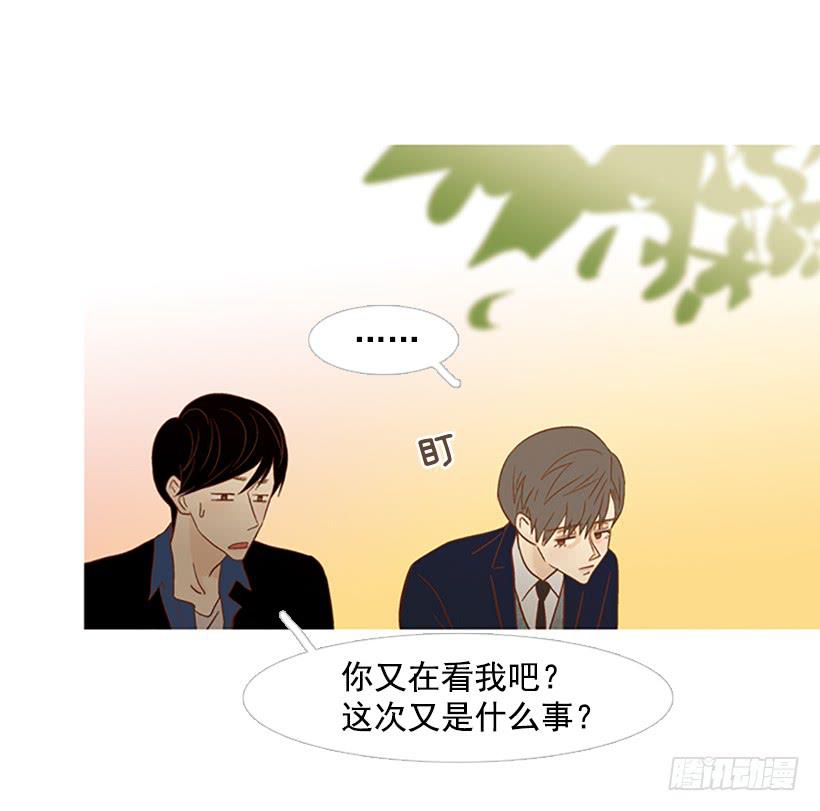 《远看春意盎然》完美的数字 第37页