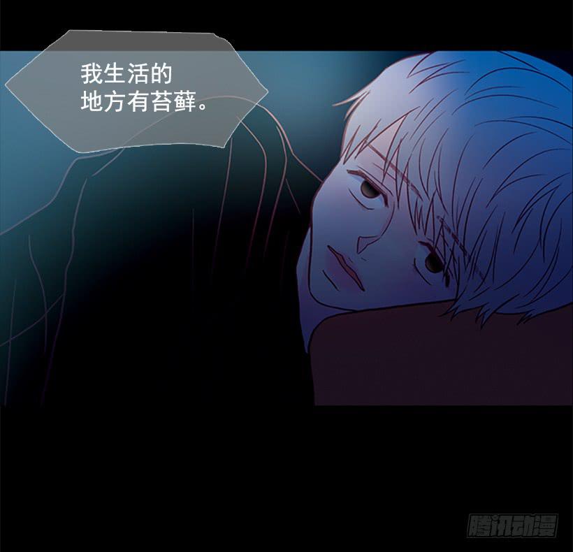 《远看春意盎然》都是因为哥哥 第5页