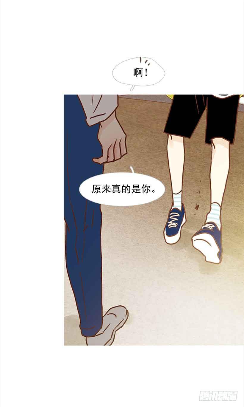 《远看春意盎然》错的人是我 第38页