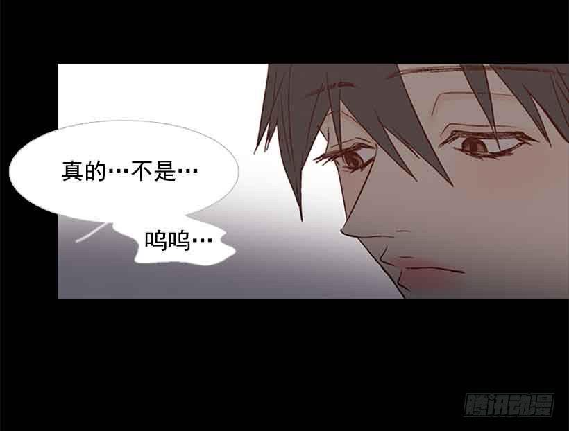 《远看春意盎然》他是我的全部 第5页