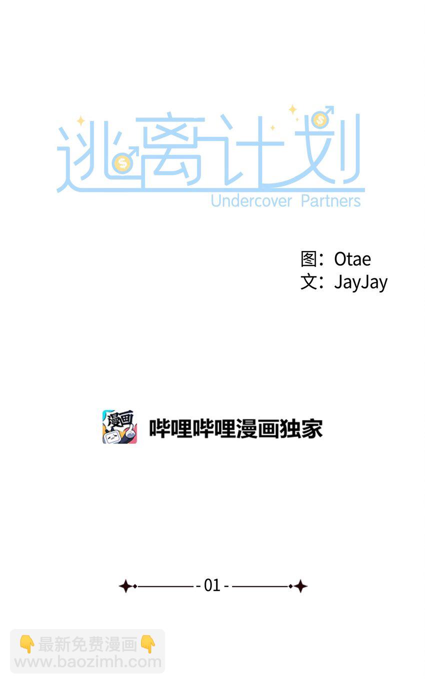 《逃离计划-Undercover Partners》01 弄虚作假 第16页