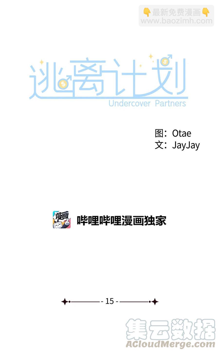 《逃离计划-Undercover Partners》15 收费标准 第31页