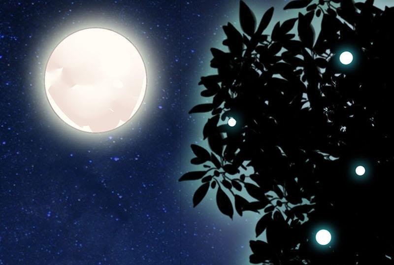 《嗜血老公错嫁新娘休想逃》第3话 新婚夜 第24页