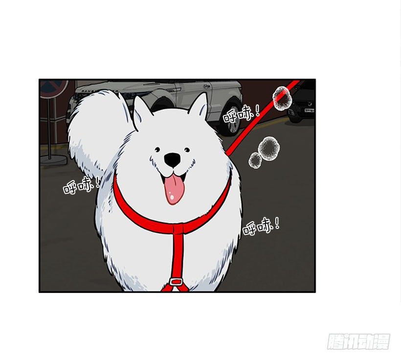 《扑杀少女》信息 第17页