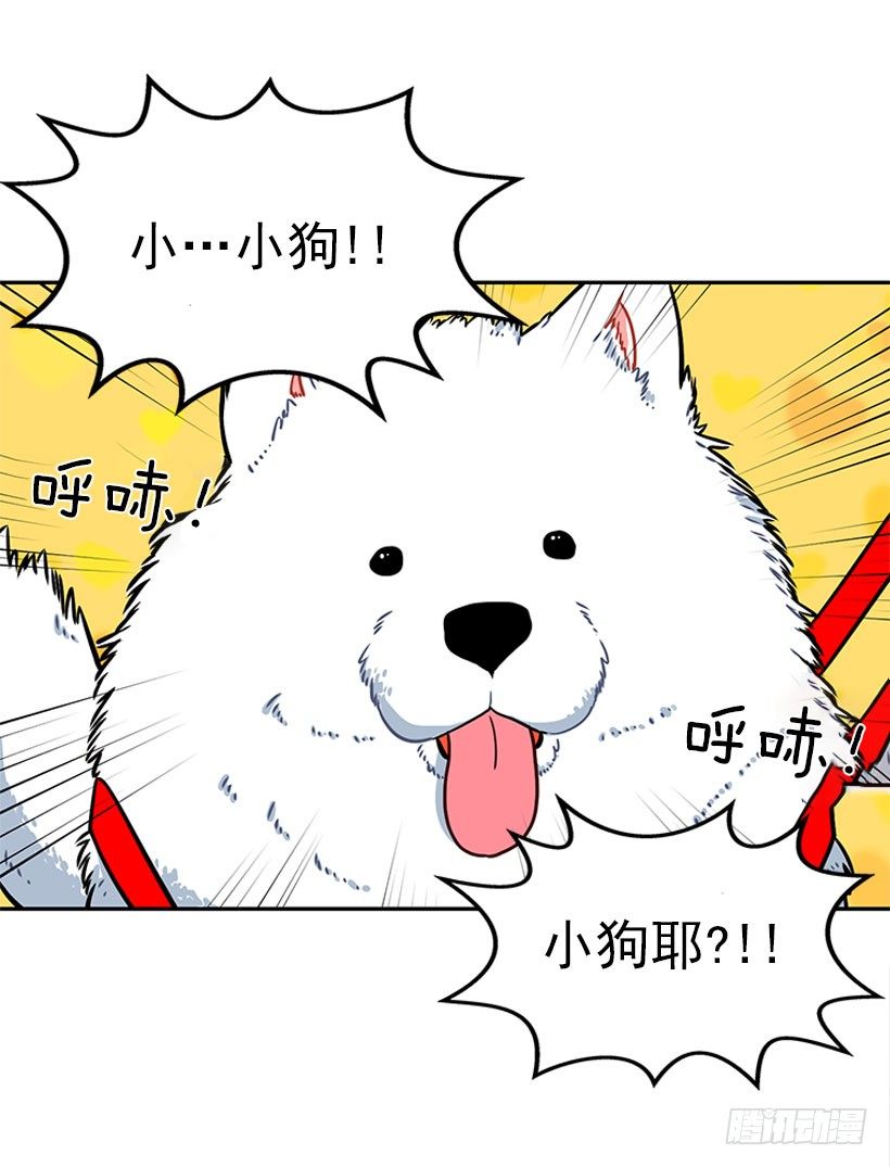 《扑杀少女》和我打一架吧！ 第12页