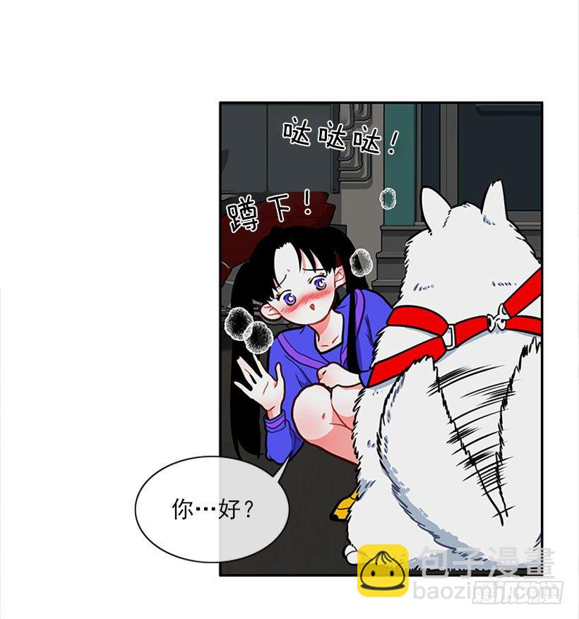《扑杀少女》和我打一架吧！ 第13页