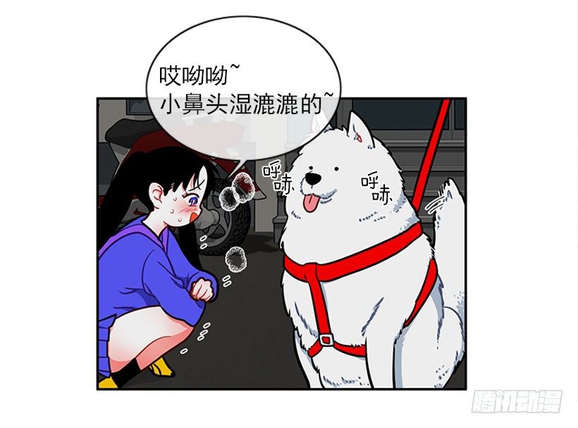 《扑杀少女》和我打一架吧！ 第16页