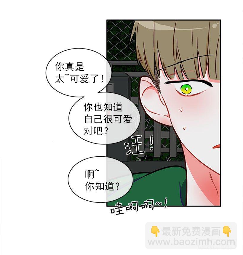 《扑杀少女》和我打一架吧！ 第17页