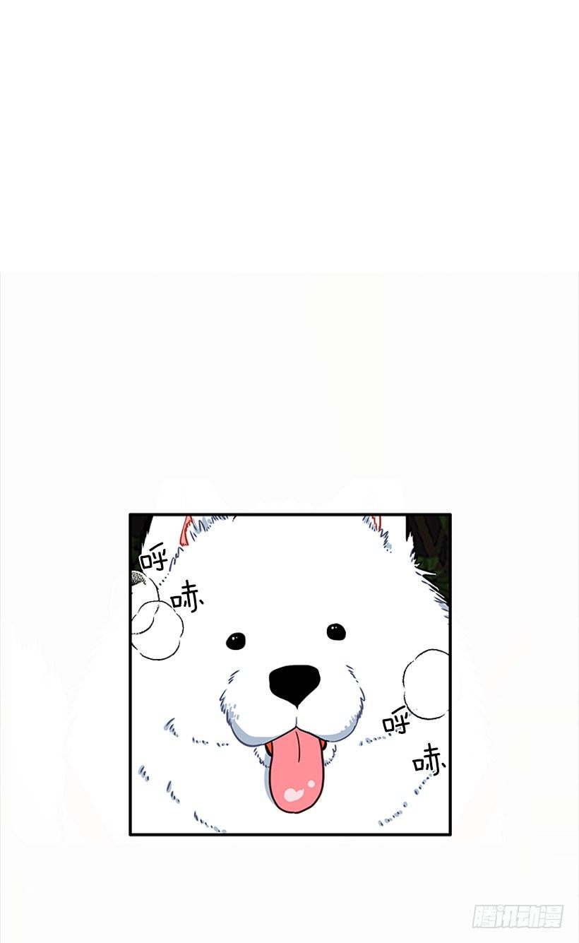 《扑杀少女》砰砰啪啪 第17页
