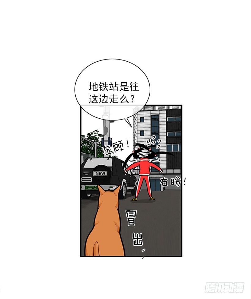 《扑杀少女》舒适方便 第36页