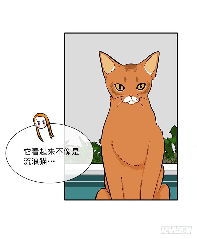《扑杀少女》委屈 第19页