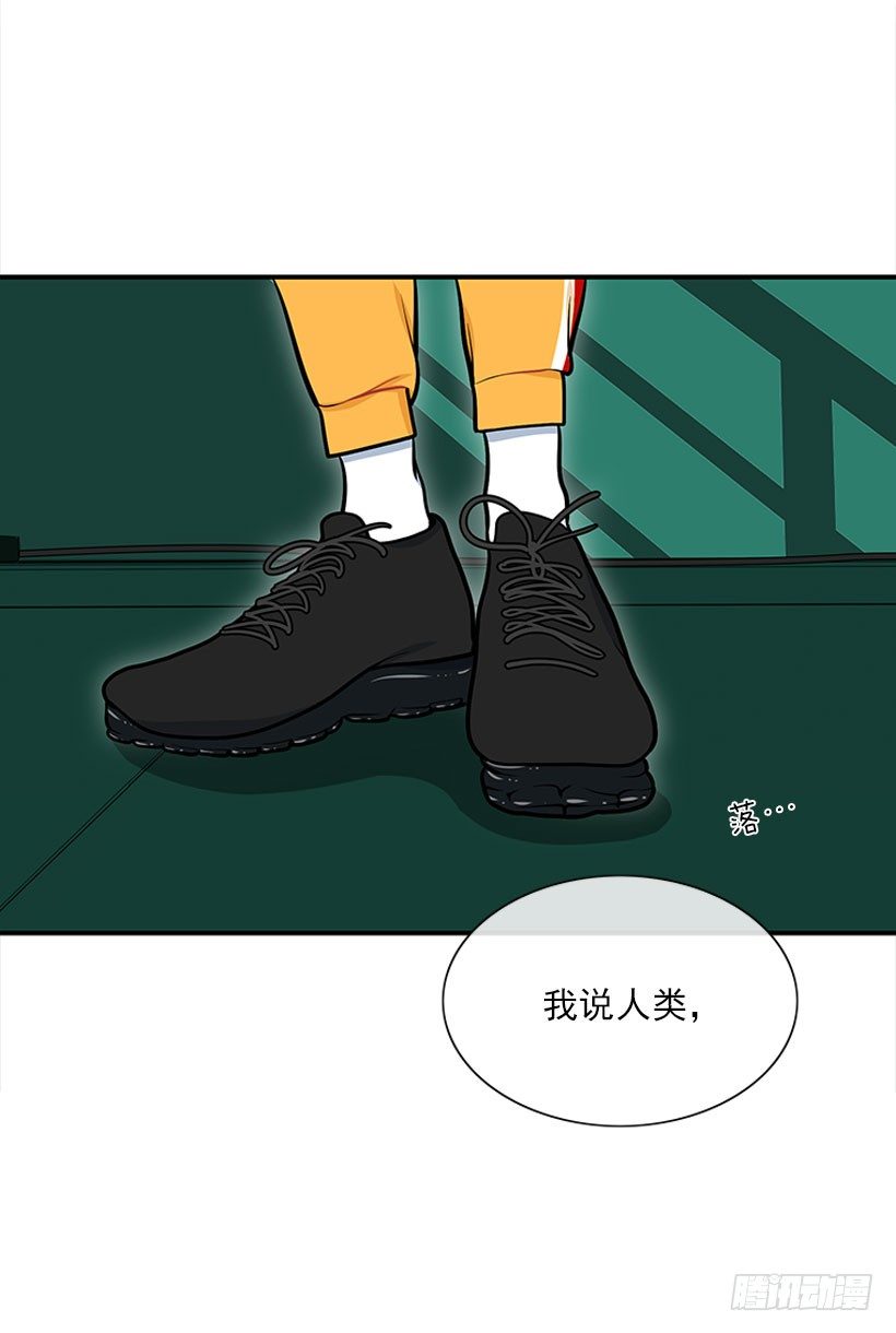 《扑杀少女》这下全完了 第11页