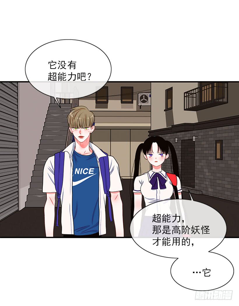 《扑杀少女》我的猫崽 第10页