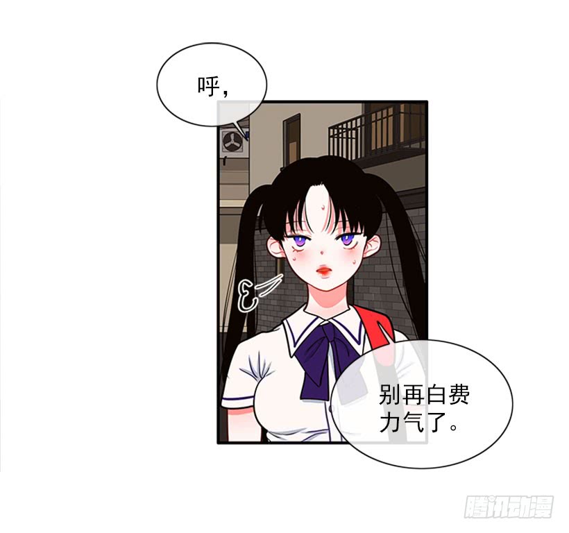 《扑杀少女》我的猫崽 第5页
