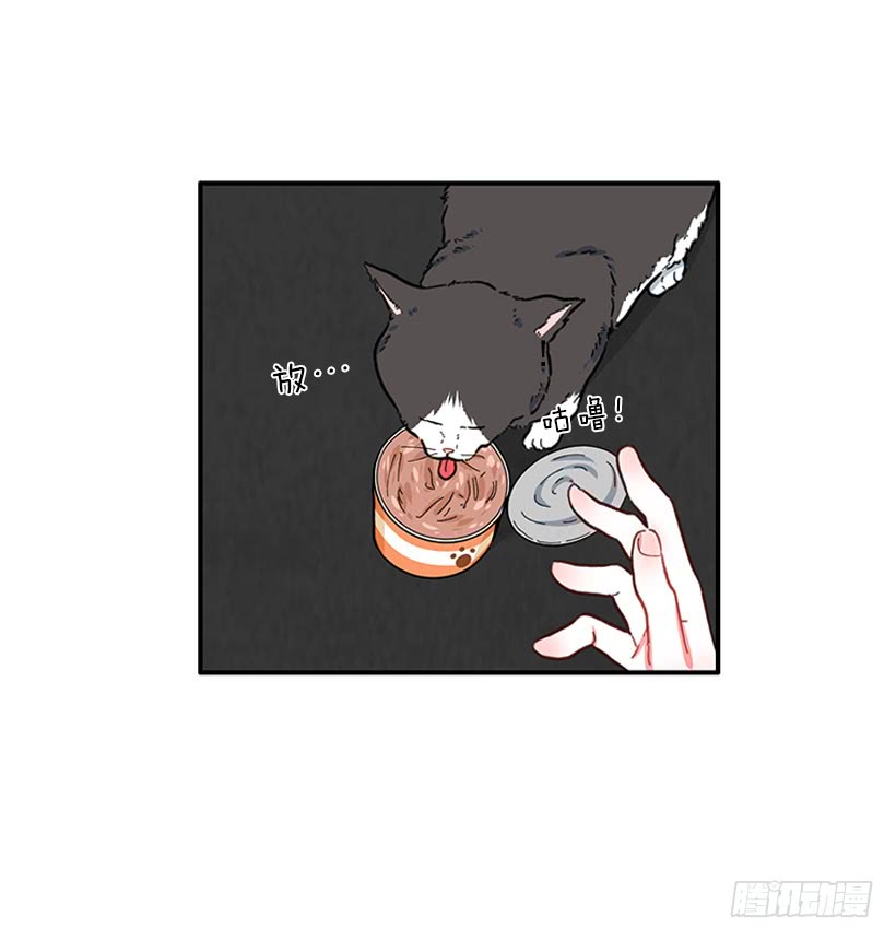 《扑杀少女》男朋友 第36页