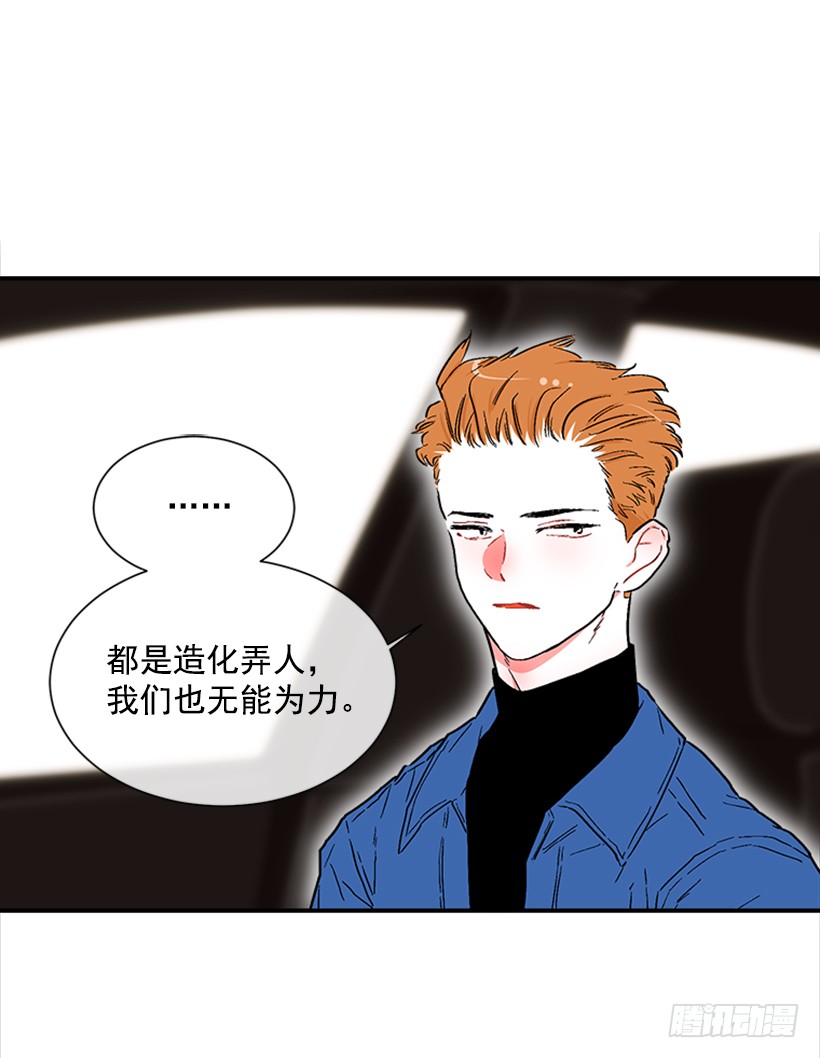 《扑杀少女》130.家猫和流浪猫 第12页