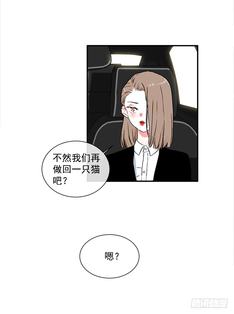 《扑杀少女》130.家猫和流浪猫 第13页