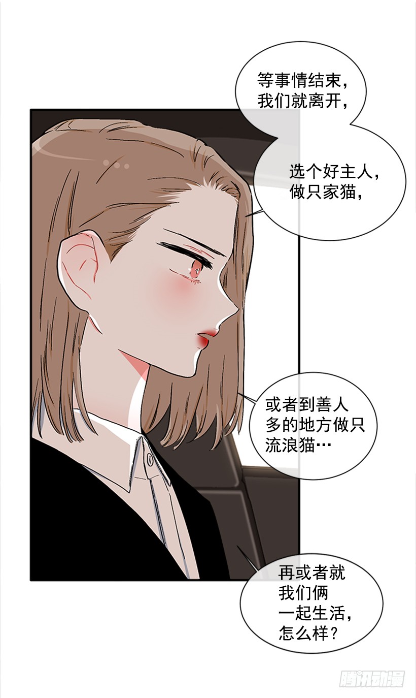 《扑杀少女》130.家猫和流浪猫 第14页