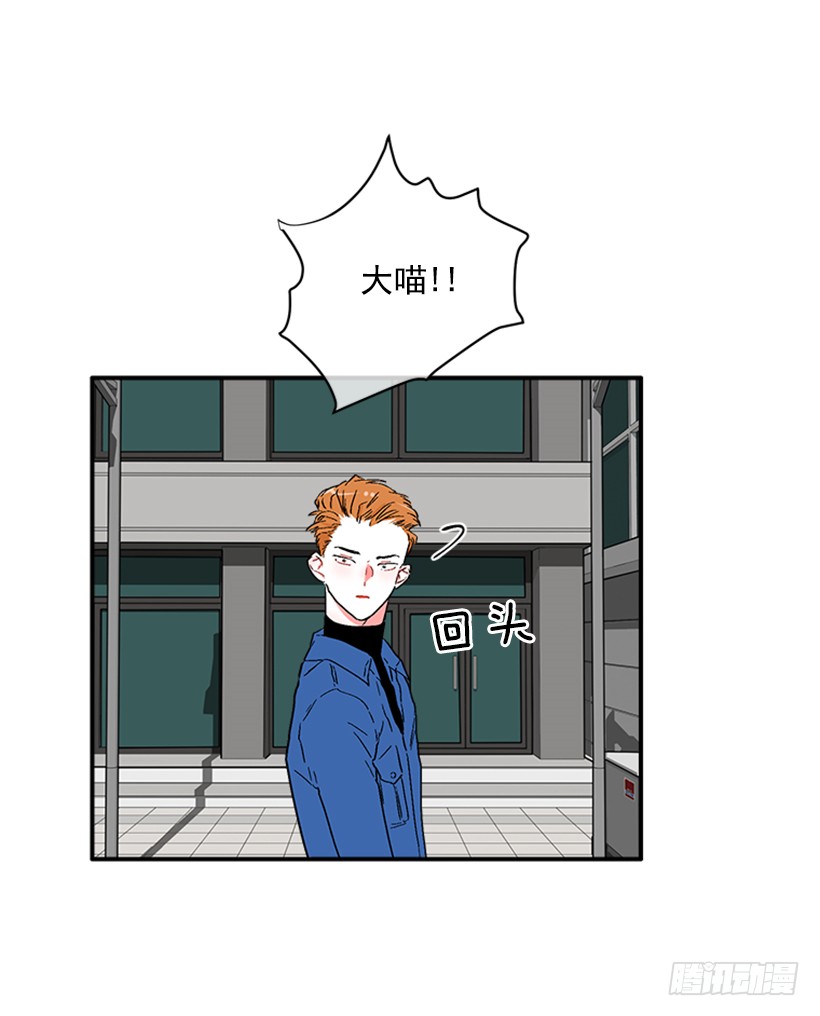 《扑杀少女》130.家猫和流浪猫 第32页