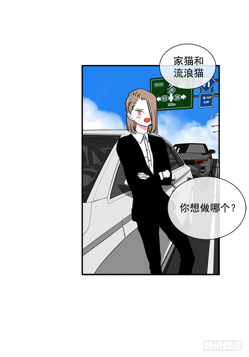 《扑杀少女》130.家猫和流浪猫 第33页