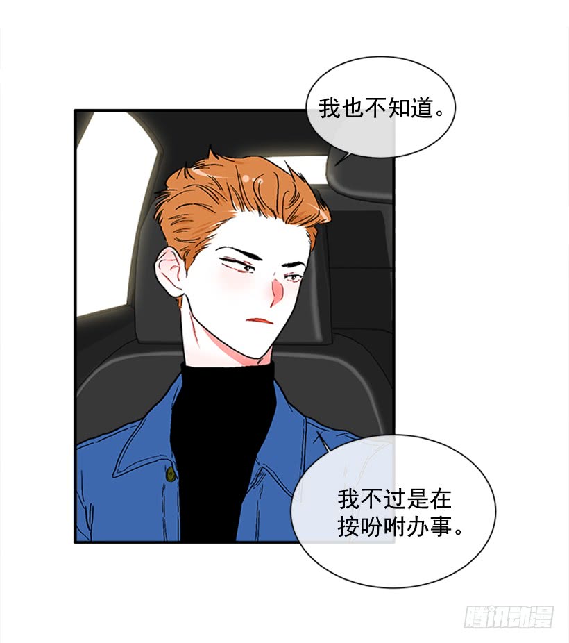 《扑杀少女》130.家猫和流浪猫 第4页