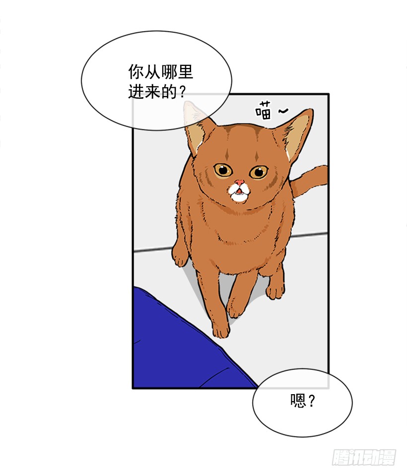 《扑杀少女》137.大喵 第10页